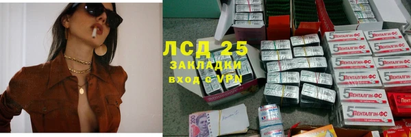 спиды Волосово