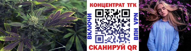 Купить закладки  Можга  Дистиллят ТГК Wax 