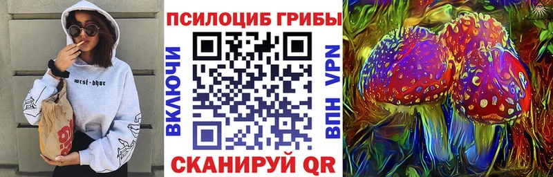 Купить где  Можга  Псилоцибиновые грибы Magic Shrooms 