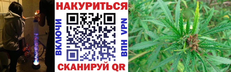 Канабис SATIVA & INDICA  Купить закладки  Можга 